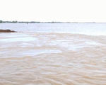 Báo động sạt lở bờ sông, bờ biển ở Đồng bằng sông Cửu Long