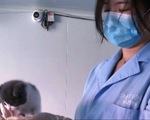 Bùng nổ dịch vụ nhân bản thú cưng tại Trung Quốc