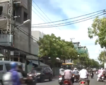 Đà Nẵng: Báo động an toàn hành lang lưới điện