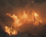 Nỗ lực giải cứu 4.000 người bị mắc kẹt vì cháy rừng tại Australia