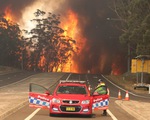 Người dân Australia xếp hàng mua đồ dự phòng giữa cháy rừng