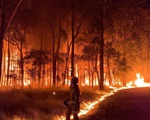 Cháy rừng tại Australia vượt tầm kiểm soát