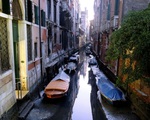 Sau ngập lụt, các kênh đào Venice lại cạn nước