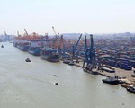 Dự báo lĩnh vực cảng biển, logistics tăng trưởng dương