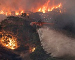 Quan ngại về nguồn nước tại Australia do cháy rừng