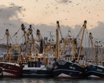 Anh công bố kế hoạch về quyền đánh bắt cá trong vùng biển thời hậu Brexit