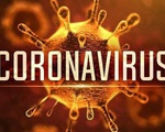 (Cập nhật): Đã có ít nhất đã có ít nhất 213 người nhiễm virus corona thiệt mạng