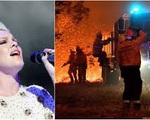 Cháy rừng tại Úc, Pink gửi 500.000 USD cho dịch vụ cứu hỏa