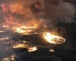 Thảm họa cháy rừng Australia qua các con số