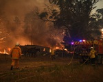Lan truyền nhiều thông tin sai lệch trên mạng xã hội về cháy rừng tại Australia