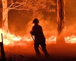 Giữa tâm bão cháy rừng, Australia liên tiếp phát hiện các vụ cố ý phóng hoả