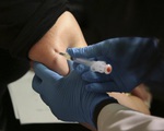 Bang New York (Mỹ) công bố kế hoạch tiêm vaccine ngừa COVID-19 gồm 5 giai đoạn