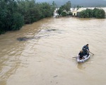 133 người thiệt mạng và mất tích do mưa lũ tại miền Trung