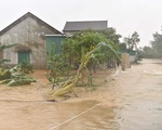 111 người thiệt mạng, 22 người mất tích do mưa lũ miền Trung