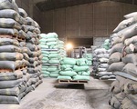 Thủ tướng ký quyết định cấp bổ sung 6.500 tấn gạo cho 4 tỉnh miền Trung