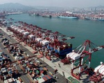 Thiếu hụt container ở châu Á, chi phí vận tải biển tăng vọt