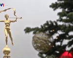 Vì sao cây thông là biểu tượng cho lễ Giáng sinh ở châu Âu?