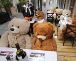 Ế ẩm vì COVID-19, nhà hàng ở Pháp thay thực khách bằng gấu Teddy