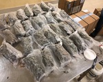 Bắt giữ 4,72 kg ma túy vận chuyển từ nước ngoài về Việt Nam ngày cuối năm
