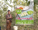 Người nông dân Trung Quốc đổi đời nhờ thương mại điện tử