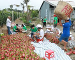 Nông sản Việt lo đáp ứng rào cản kỹ thuật tại EU