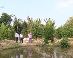 Độc đáo sáng kiến trữ nước chống hạn mặn ở Tiền Giang