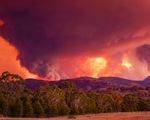 Cháy rừng nghiêm trọng tại thủ đô của Australia