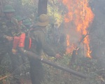 Khống chế vụ cháy rừng thông trên núi Đại Bình, Lâm Đồng