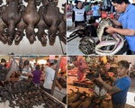 Chợ tại Indonesia 'hồn nhiên' bán thịt rắn, dơi, chuột bất chấp dịch COVID-19