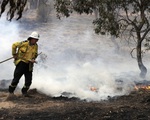 Thủ đô Canberra của Australia ban bố tình trạng khẩn cấp do cháy rừng
