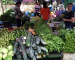 TP.HCM: Giá rau củ quả tại chợ truyền thống ở mức cao
