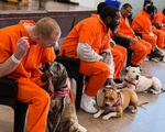 Nhà tù ở Mỹ cho các tù nhân chơi đùa với chó