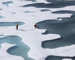 Nam Cực trải qua ngày nóng kỷ lục
