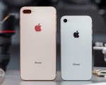 Apple sắp khai tử iPhone 8/8 Plus