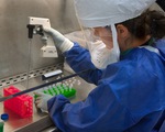 Bỉ phát triển kháng thể có khả năng vô hiệu hóa virus SARS-CoV-2