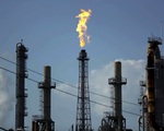 Mỹ để ngỏ khả năng can thiệp vào cuộc chiến giá dầu