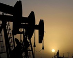 Giá dầu tăng nhẹ trước thông tin tích cực về gói tài chính của Mỹ