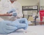 Mỹ đẩy mạnh xét nghiệm máu tìm ra kháng thể chống COVID-19
