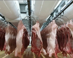 Thủ tướng yêu cầu giảm giá thịt lợn