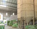 Thủ tướng đồng ý cho xuất 400.000 tấn gạo trong tháng 4