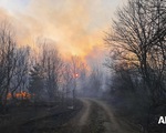 Ukraine: Cháy rừng khiến không khí ở Kiev ô nhiễm nhất thế giới