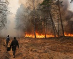 Ukraine: Ô nhiễm không khí nghiêm trọng do cháy rừng