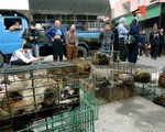 Mỹ đề nghị Trung Quốc xóa sổ chợ động vật hoang dã