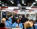 Thị trường lao động tại Mỹ sụt giảm kỷ lục