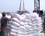 Doanh nghiệp ĐBSCL tất bật chuẩn bị cho các hợp đồng  xuất khẩu gạo