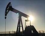 Giá dầu thế giới sụt giảm mạnh
