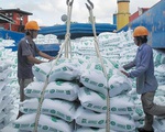 Kiến nghị về cơ chế xuất khẩu lại nếp và gạo hạt tròn