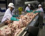 Nghịch lý ở nước Mỹ: Dân thiếu thịt để ăn, nhưng lại xuất... ào ào sang Trung Quốc