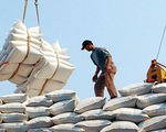 Doanh nghiệp 'xù' hợp đồng gạo dự trữ quốc gia vẫn được tái đấu thầu