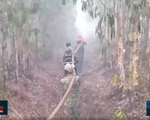 Kiên Giang: Nỗ lực chữa cháy cứu rừng